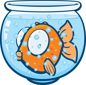 Fish-o-Meter: Finding the Softest, Fishiest Online Poker Games in 2024